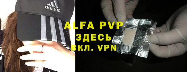 мдпв Осташков