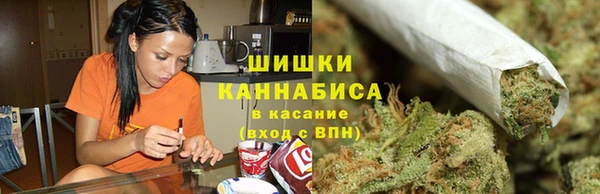 шишки Армянск