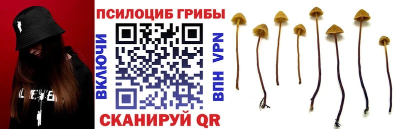 Псилоцибиновые грибы MAGIC MUSHROOMS  Сорск 